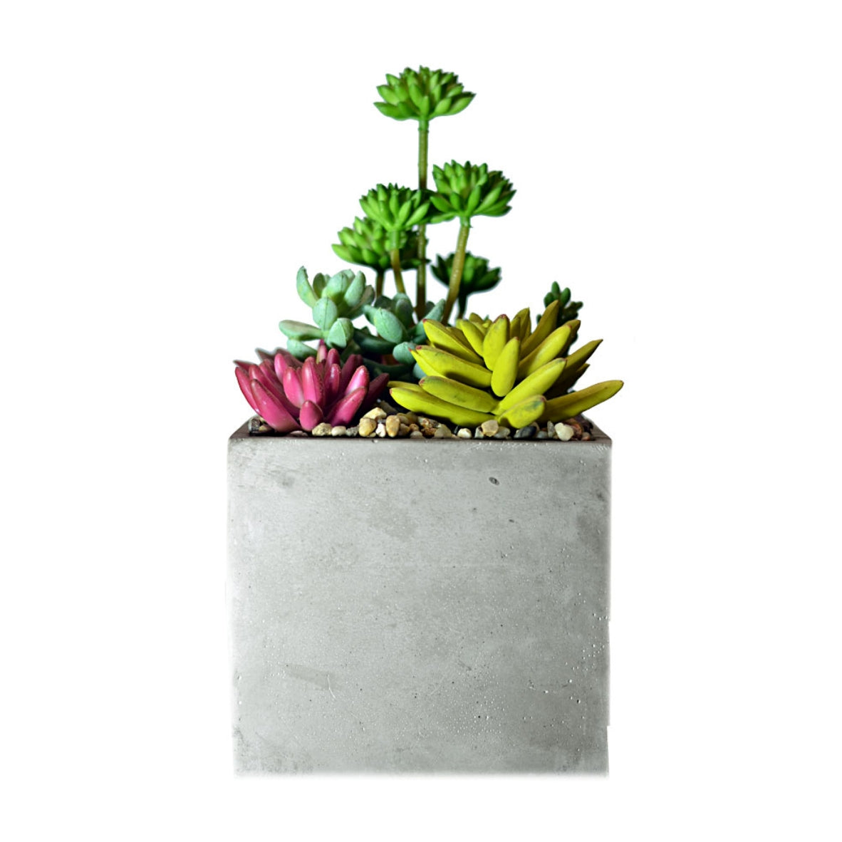 Flower Pot 10