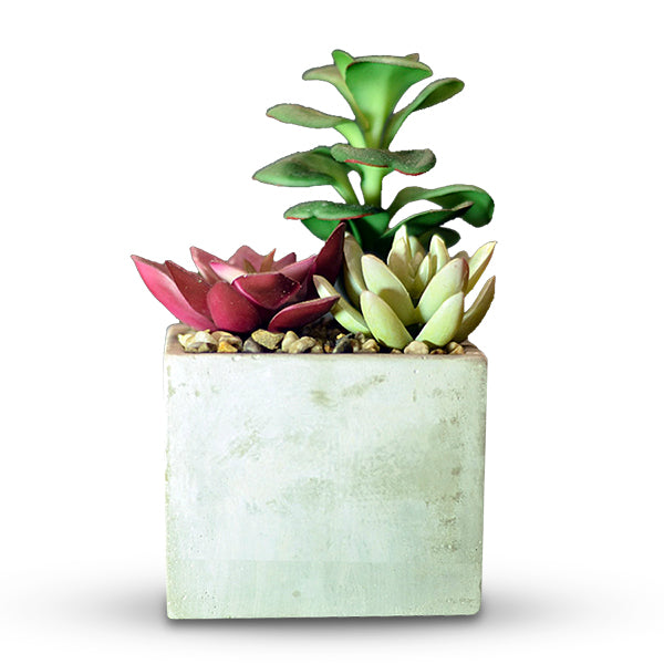 Mini Flower Pot 4