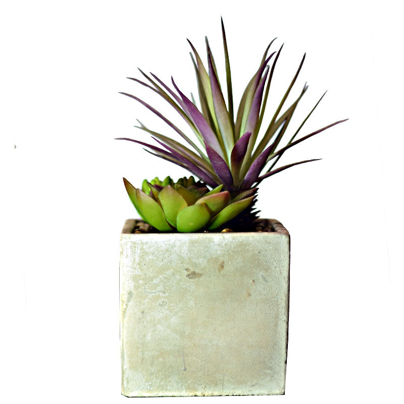 Mini Flower Pot 13