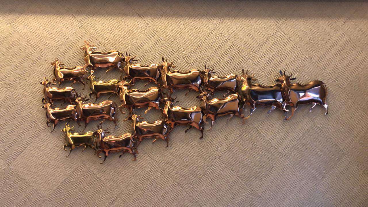 Nandi bull