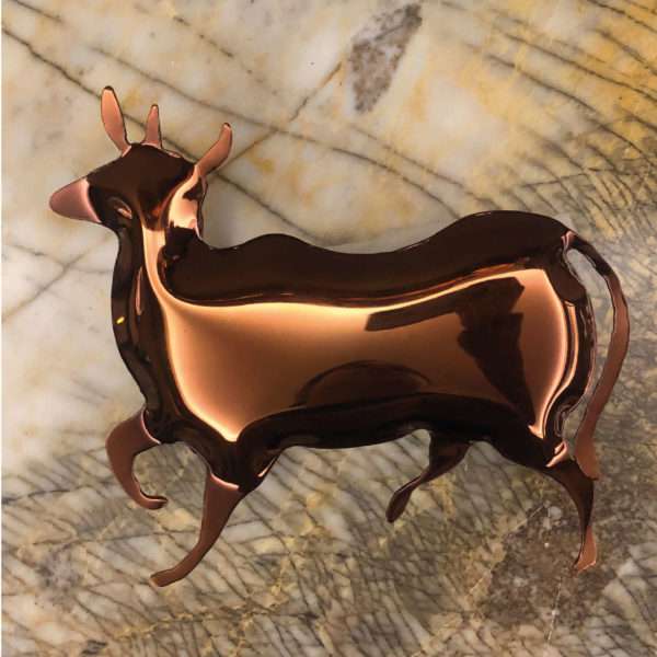 Nandi bull