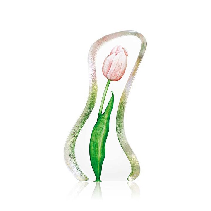 Tulip - Large