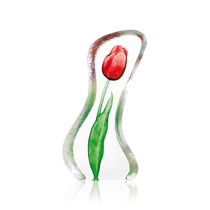 Tulip - Large