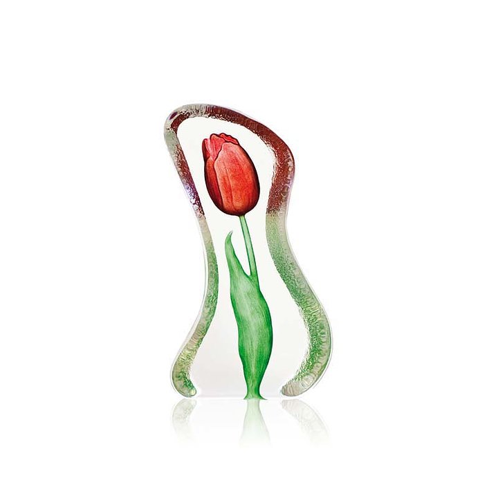 Tulip - Small