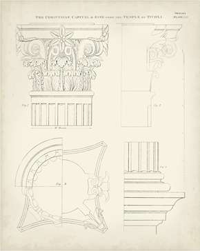 Greek & Roman Architecture 1