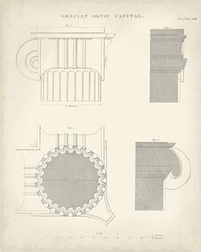 Greek & Roman Architecture 6
