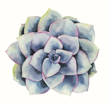 Tropical Plant 5