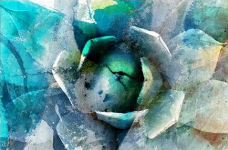 Agave Abstract 1