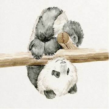 Baby Panda 2