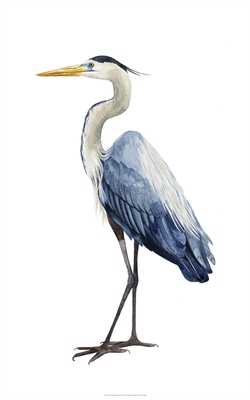Seabird Heron 1
