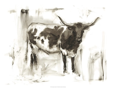 Longhorn Study 1