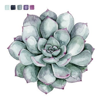 Succulent Swatches 2