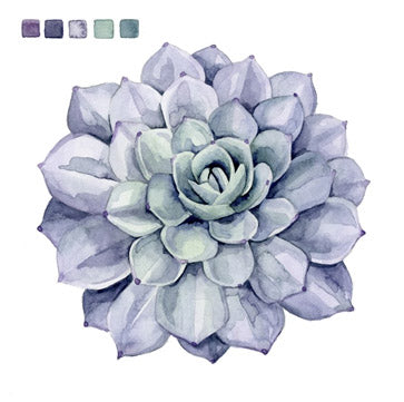 Succulent Swatches 3