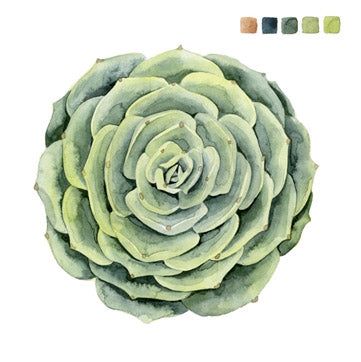 Succulent Swatches 4