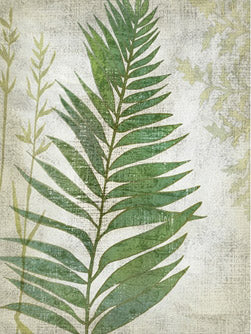Frond 1