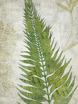 Frond 2