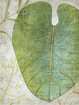 Frond 4