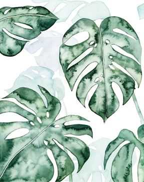 Split Leaf 1
