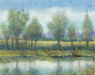 River Reflection 2