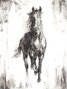 Rustic Black Stallion 1 