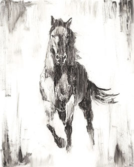 Rustic Black Stallion 2