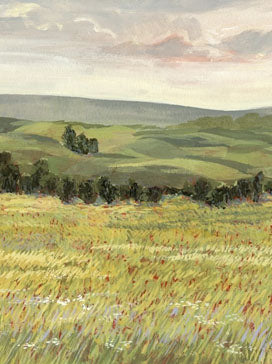 Morning Meadow 1