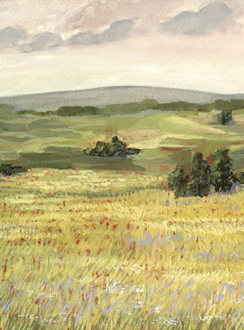 Morning Meadow 2