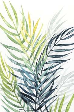 Sunset Palm Composition 2