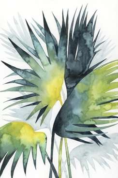 Sunset Palm Composition 4