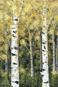Birch Treeline 1