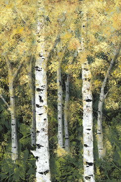 Birch Treeline 2