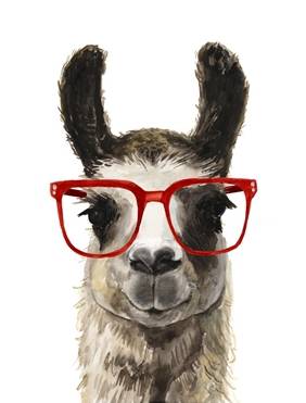 Hip Llama 1