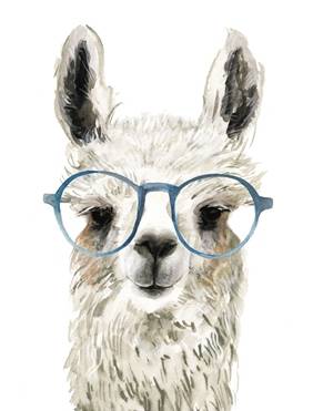 Hip Llama 2