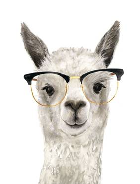 Hip Llama 4