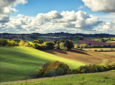 Pastoral Countryside 3