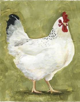 Chicken Scratch 3