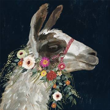 Lovely Llama 1