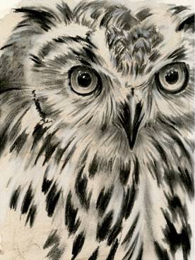 Charcoal Owl 1