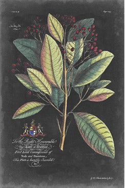 Dramatic Royal Botanical 6