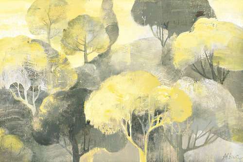 Looking out at the Trees