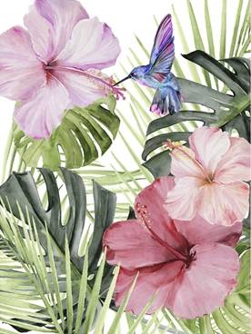 Hibiscus & Hummingbird 1