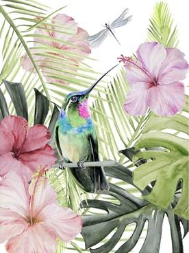 Hibiscus & Hummingbird 2