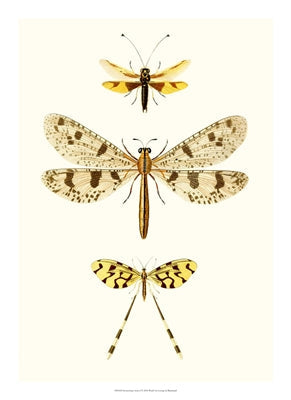 Entomology Series 1