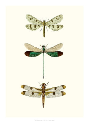 Entomology Series 7