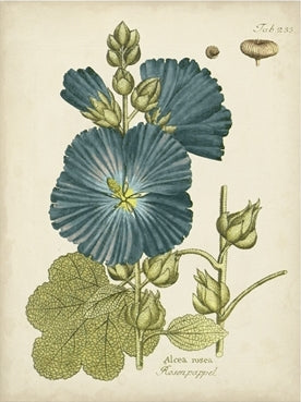 Eloquent Botanical 4