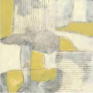Thin Grey Lines 1
