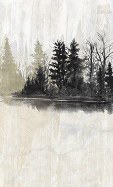 Pine Island 1