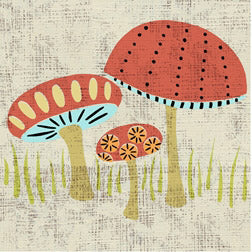 Ada's Mushrooms