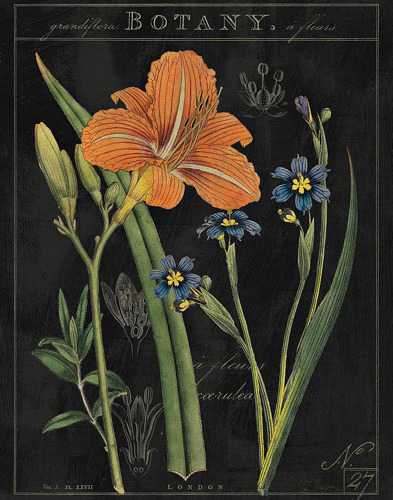 Vintage Flora 2