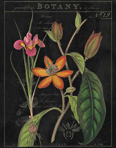 Vintage Flora 3